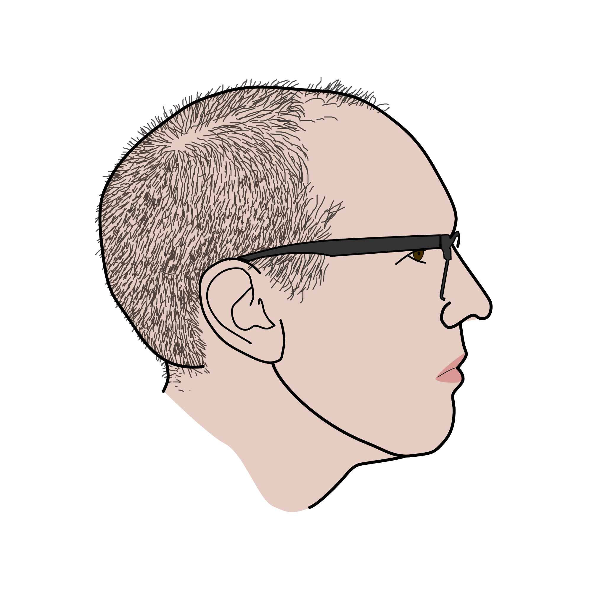 drawing of tpholland